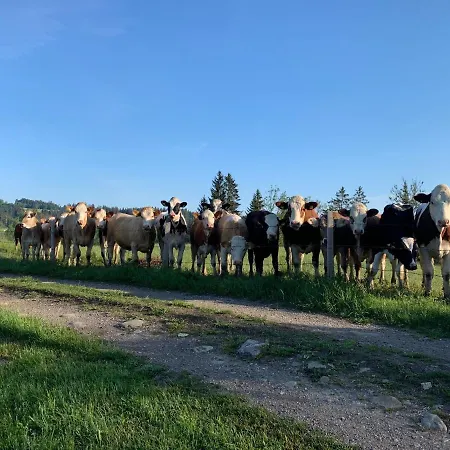 Allgauliebe Weiler-Simmerberg