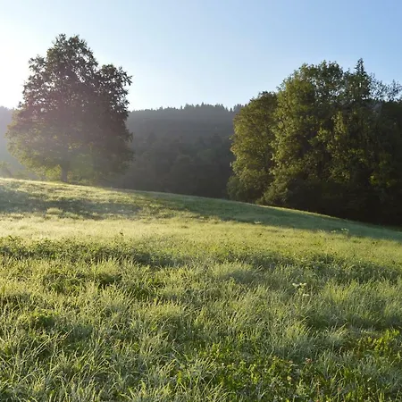 Allgauliebe * Weiler-Simmerberg