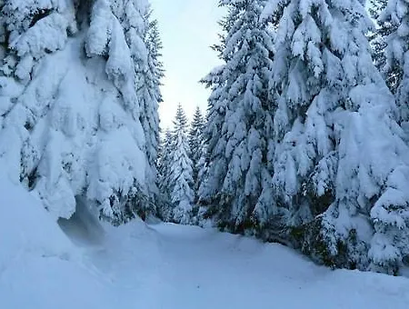 Allgauliebe * Weiler-Simmerberg